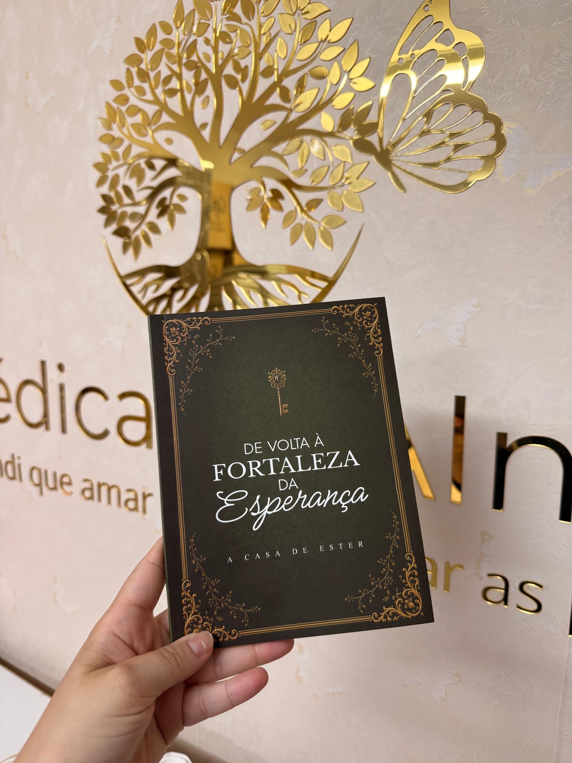 Livro A Casa de Ester: A Fortaleza da Esperança vol I