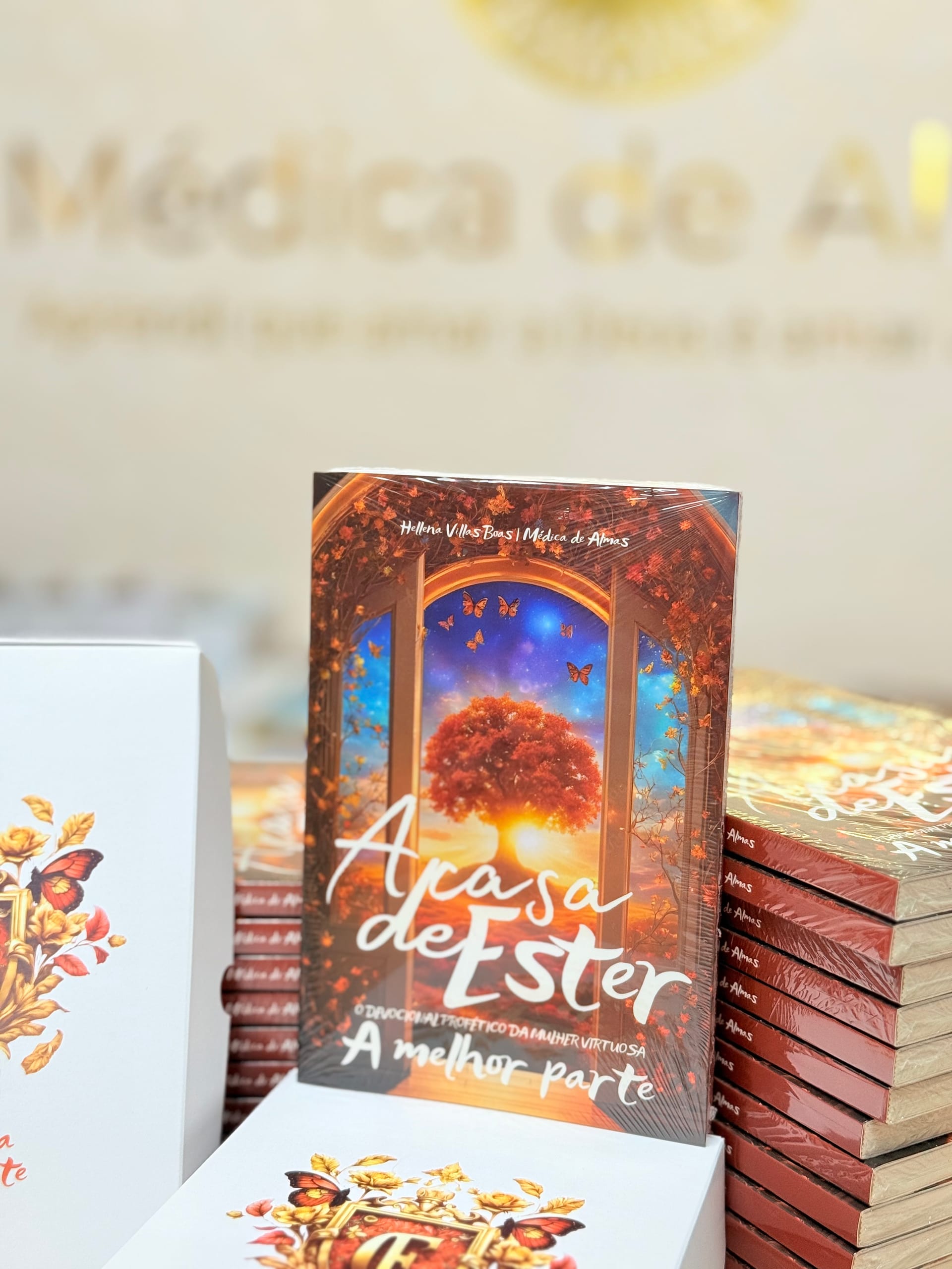 Livro A Casa de Ester: A melhor parte