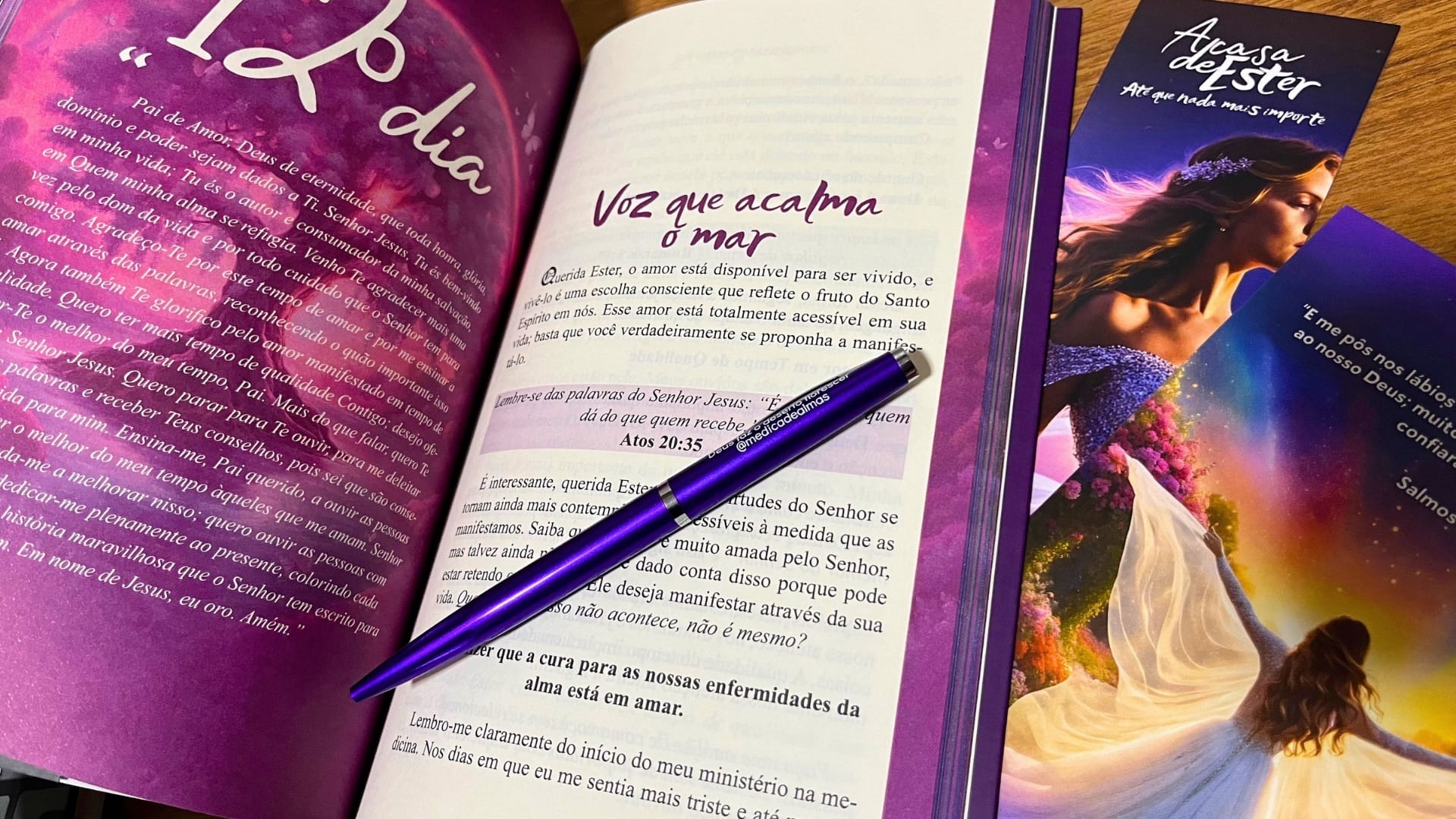 Livro A Casa de Ester: Até que nada mais importe - Ângulo 2